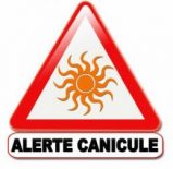 Canicule